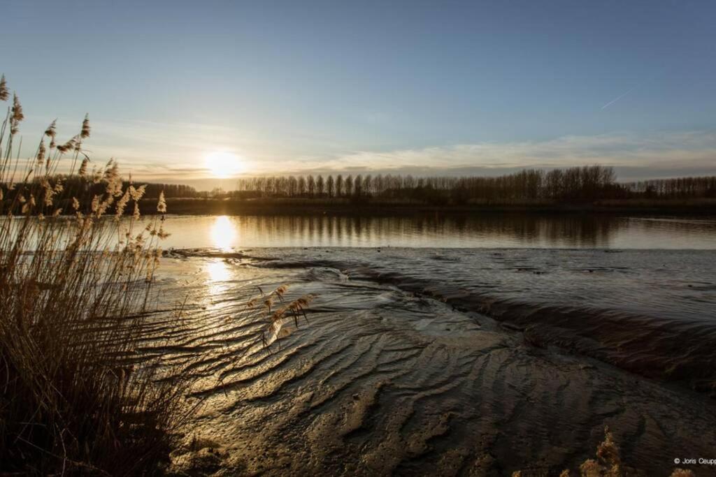 Amand'Eau - Zwemvijver, Zonneterras, Grote Tuin Sint-Amands Luaran gambar