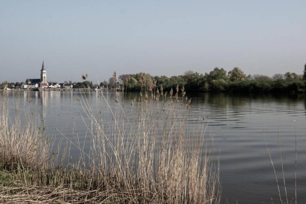 Amand'Eau - Zwemvijver, Zonneterras, Grote Tuin Sint-Amands Luaran gambar