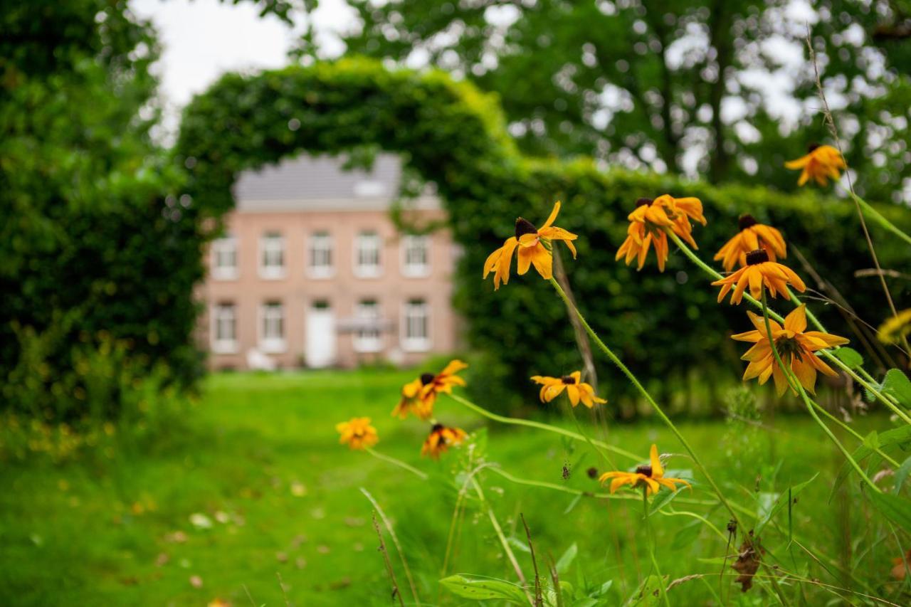 Amand'Eau - Zwemvijver, Zonneterras, Grote Tuin Sint-Amands Luaran gambar